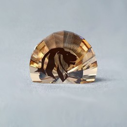 Swarovski Kristal | SCS | Leden Geschenken | SCS - Ledengeschenk 2016 - Paperweight Leeuwenkop | 5135901